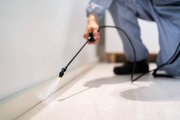 Licensed Rodent Control service in South Burlington, VT - Nex Pest Control