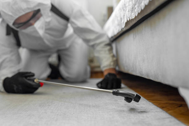 Professional Rodent Control technician working in South Burlington, VT