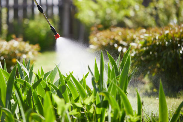 24/7 Emergency Rodent Control experts in South Burlington, VT