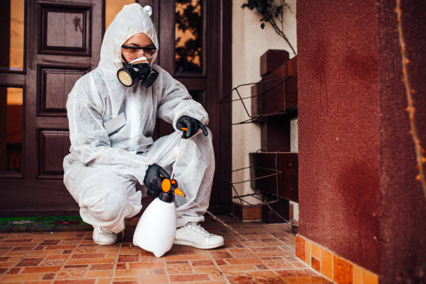 Reliable Rodent Control contractor in South Burlington, VT by Nex Pest Control