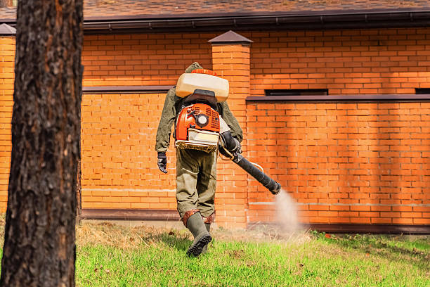 Trusted Rodent Control service in South Burlington, VT - Nex Pest Control